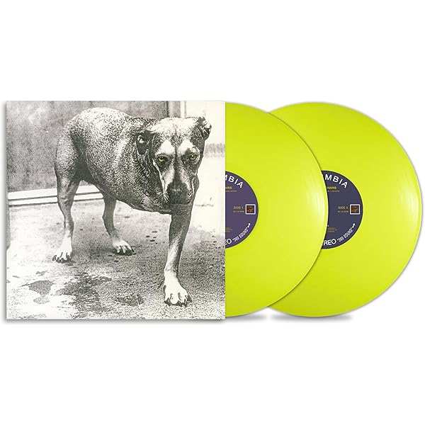 G Funk Classics Vol.1 & 2 (Exp) (Vinyl): NATE DOGG: Amazon.ca: Music